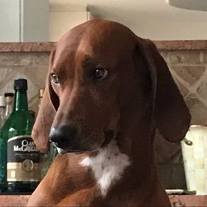 Meet your Posher, Pari.